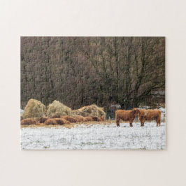 Schotse hooglandkoeien die warm blijven in de wint legpuzzel