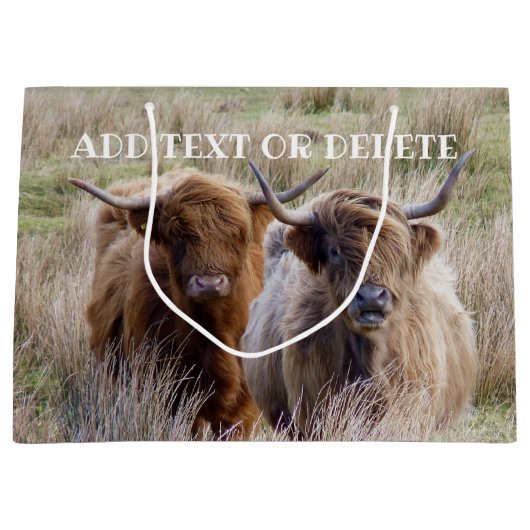 Schotse hooglandkoeien groot cadeauzakje (Voorkant)