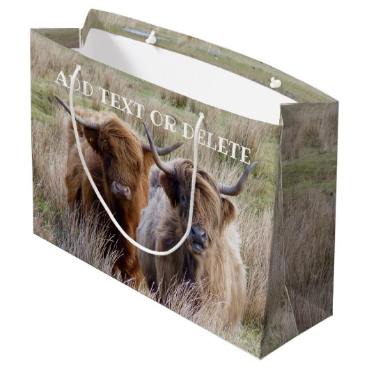 Schotse hooglandkoeien groot cadeauzakje