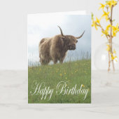 Schotse Hooglandrund Kaart (Gele Bloem)