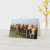 Schotse Koe Kaart (Gele Bloem)
