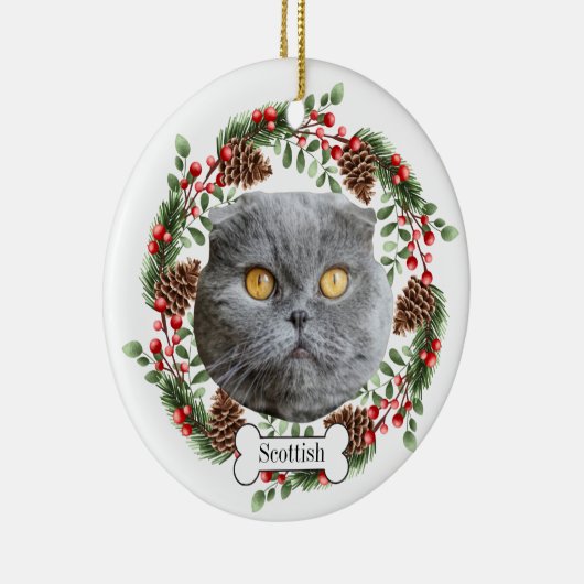 Schotse plooikat keramisch ornament (Rechts)