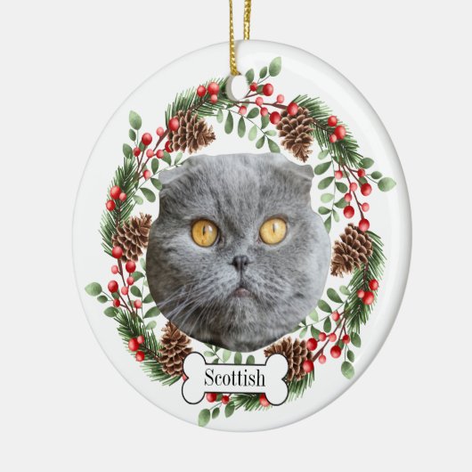 Schotse plooikat keramisch ornament (Links)