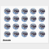 Schotse ponies ronde sticker (Vel)