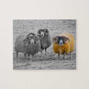 Schotse rammen legpuzzel