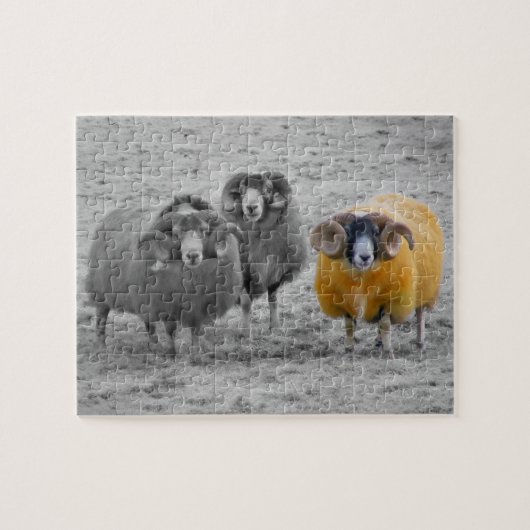 Schotse rammen legpuzzel (Horizontaal)