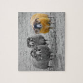 Schotse rammen legpuzzel (Verticaal)
