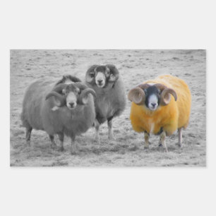 Schotse rammen rechthoekige sticker