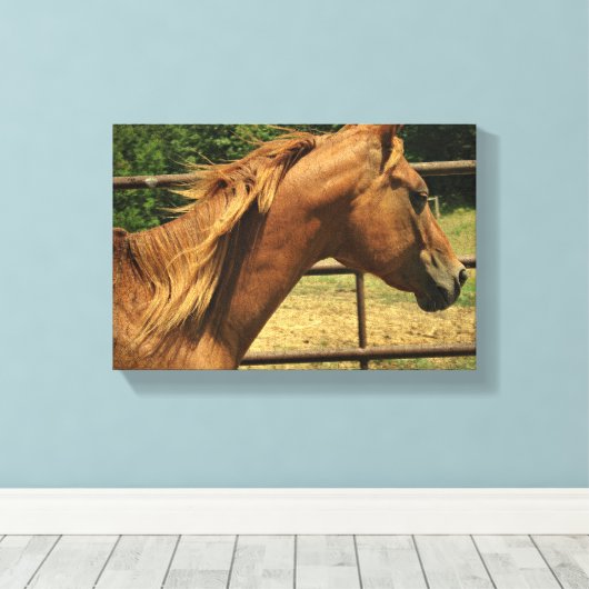 Schotse ronde pen canvas afdruk (Insitu (Houten vloer))