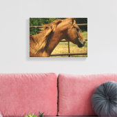 Schotse ronde pen canvas afdruk (Insitu (Woonkamer))