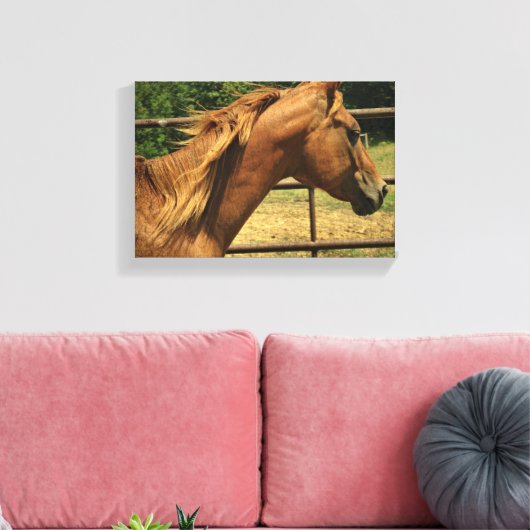 Schotse ronde pen canvas afdruk (Insitu (Woonkamer))