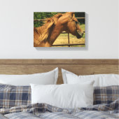 Schotse ronde pen canvas afdruk (Insitu (Slaapkamer))