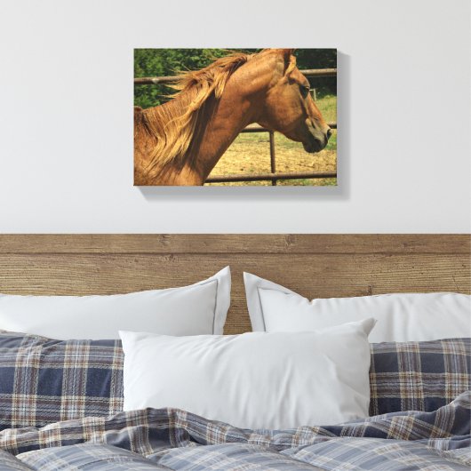 Schotse ronde pen canvas afdruk (Insitu (Slaapkamer))