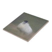 Schotse schapentiel tegeltje (Zijkant)