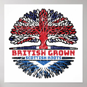 Schotse Schotland Verenigd Koninkrijk Brits Boom Poster
