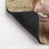 Schotse Schotse hoerse koe Muismat (Hoek)