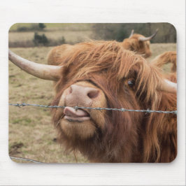Schotse Schotse hoerse koe Muismat