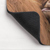 Schotse Schotse hoerse koe Muismat (Hoek)