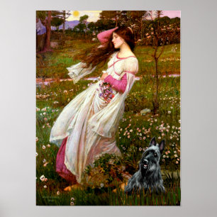 Schotse Terrier 3 - Windflowers Poster