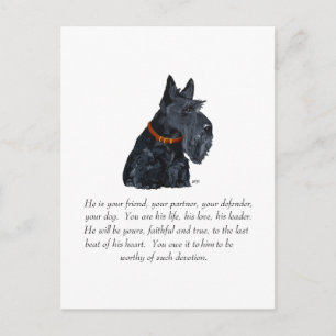 Schotse Terrier Aandenken Briefkaart