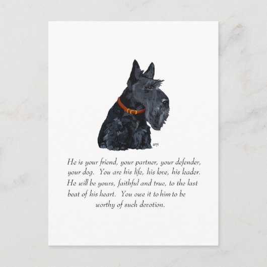 Schotse Terrier Aandenken Briefkaart (Voorkant)