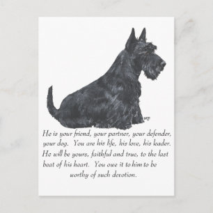 Schotse Terriër Aandenken - REUZE Hond Briefkaart