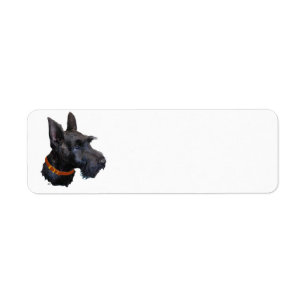 Schotse Terrier Adreslabel Etiket