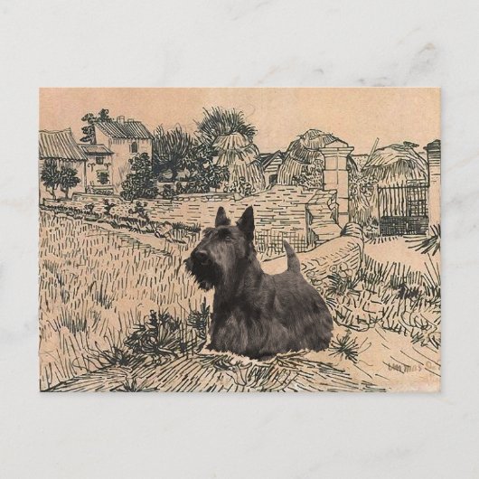 Schotse Terrier Ansichtkaart Briefkaart (Voorkant)