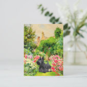 Schotse Terrier Ansichtkaart Briefkaart (Staand voorkant)