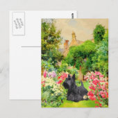 Schotse Terrier Ansichtkaart Briefkaart (Voorkant / Achterkant)