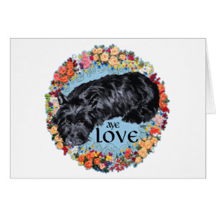 Schotse Terrier: Aye, Love!