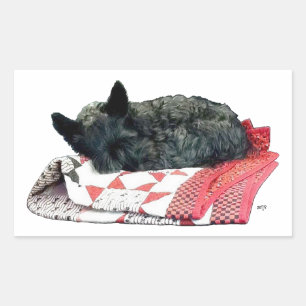Schotse Terrier die slaapt Rechthoekige Sticker