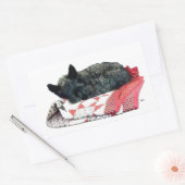 Schotse Terrier die slaapt Rechthoekige Sticker (Envelop)