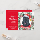 Schotse terrier Dog voordelige kerstkaart Kaart (Voorkant / Achterkant in situ)