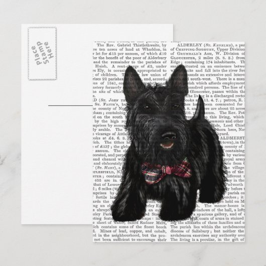 Schotse Terrier en Bow Briefkaart (Voorkant / Achterkant)