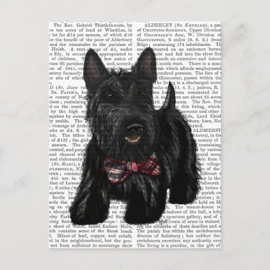 Schotse Terrier en Bow Briefkaart (Voorkant)