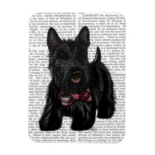Schotse Terrier en Bow Magneet