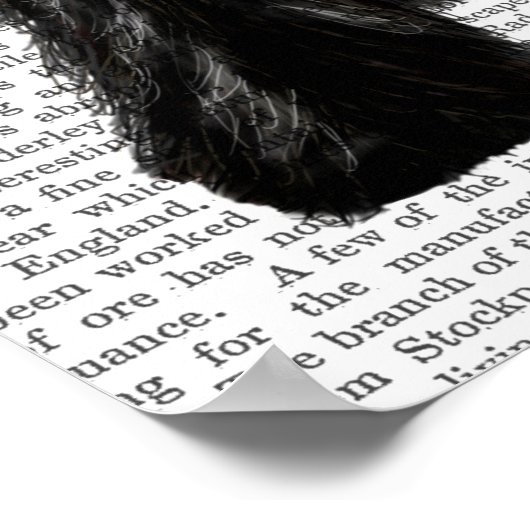 Schotse Terrier en Bow Poster (Hoek)