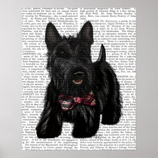Schotse Terrier en Bow Poster (Voorkant)