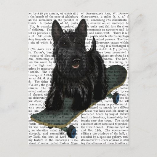Schotse Terrier en Skateboard Briefkaart (Voorkant)
