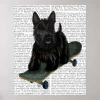 Schotse Terrier en Skateboard