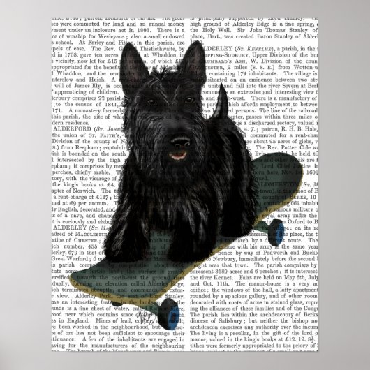 Schotse Terrier en Skateboard Poster (Voorkant)