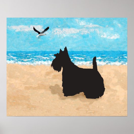 Schotse Terrier en Zeemeeuw Poster (Voorkant)