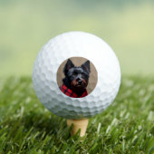 Schotse Terrier Golfballen (Insitu Shirt)