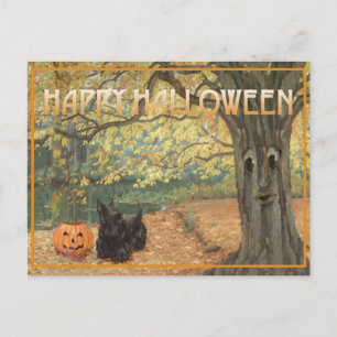Schotse Terrier Halloween Briefkaart
