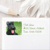 Schotse Terrier Hond Retouradres Label (Insitu)