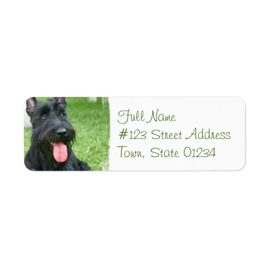 Schotse Terrier Hond Retouradres Label (Voorkant)