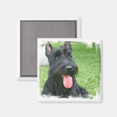 Schotse Terrier Hondenmagneet Magneet (Voorkant / Achterkant)