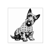 Schotse Terrier in een plaid jas - stempel (Afrduk)
