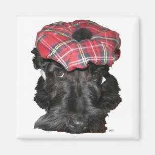 Schotse Terrier in een Tam-o-Shanter Magneet